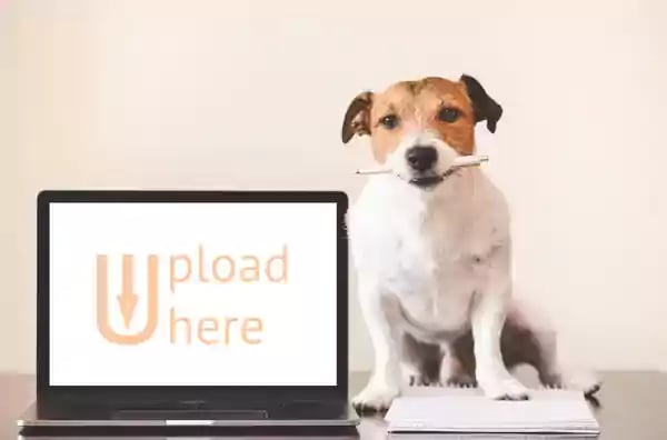 Dog sitting on a notebook holding a pen in its mouth.