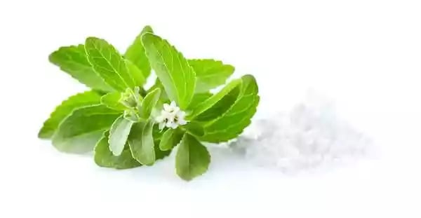 stevia leaf